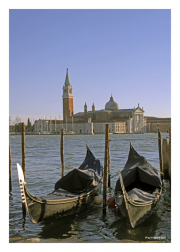 Venice Lagoon