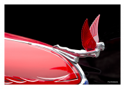 Red Winged Hood Ornament