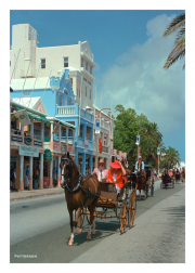 Buggy Ride in Hamilton, Bermuda