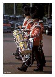 Grenadier Guards