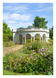 Garden & Greenhouse at Osterley