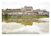 Château d'Amboise 1