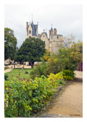 Château de Montreuil-Bellay