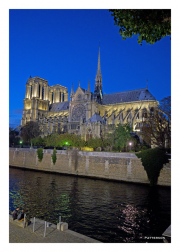Notre Dame at Night