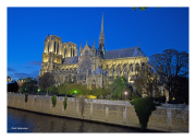 Lights of Notre Dame
