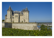 Château de Saumur