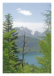 Bavarian Alps