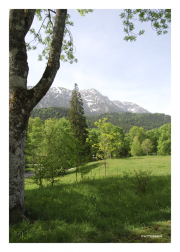 Grounds of Schloss Linderhof