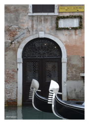 Venice - Neck and Neck