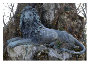 Venetian Lion
