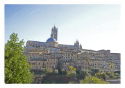 Siena Cityscape