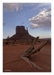 Driftwood Monument Valley