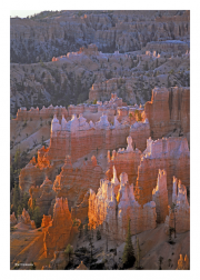 Bryce Canyon at Dawn