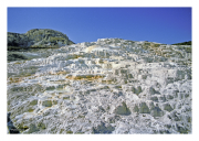 Mammoth Hot Springs