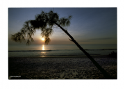 Miami Sunrise