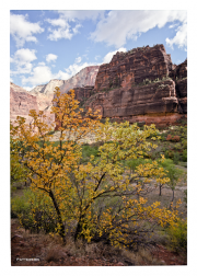 Capitol Reef