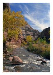 Zion National Park