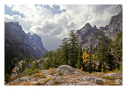 Grand Tetons