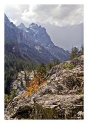 Grand Tetons