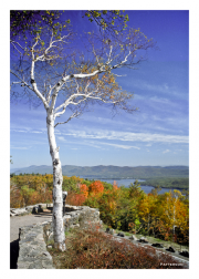 View from Fort Ticonderoga in Fall