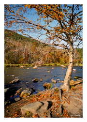 Fall in the Adirondacks