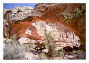 Zion National Park
