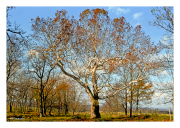 Fall in Gettysburg