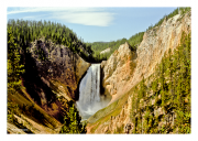 Lower Falls of the Yellowstone