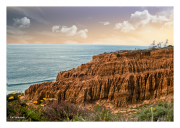 Torrey Pines State Natural Reserve