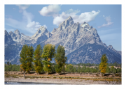 Grand Tetons