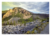 Yellowstone