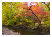 Darby Creek Fall 3