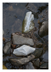 Streambed