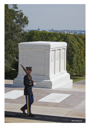 Arlington Cemetery - Lone Sentinal