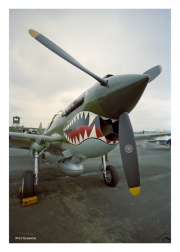 Flying Tiger