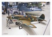 P-40B "Warhawk"
