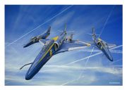 Blue Angels