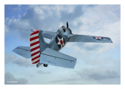 F4F "Wildcat"