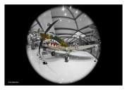 P-40B "Warhawk", National Naval Aviation Museum, Pensacola, Florida, USA