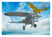 P6E "Hawk" & Trainer