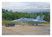 F/A-18 "Hornet"