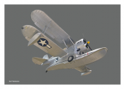 J2F "Duck"