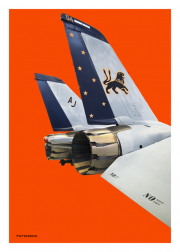 F-14 "Tomcat"