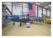 F9F "Panther"