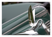 Swan Hood Ornament, Historical Car Club of Pennsylvania Annual Fall Meet, Media, Pennsylvania, USA
