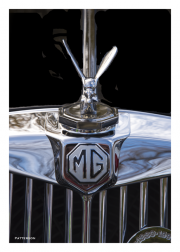 MG