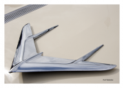 Flying Wing Hood Ornament