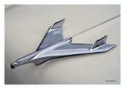 Soaring Bird Hood Ornament