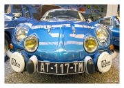 Blue Alpine