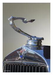 Hood Ornament